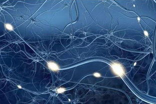 科技赋能中国品牌 国家市场监督管理总局如何护航科技网络健康发展